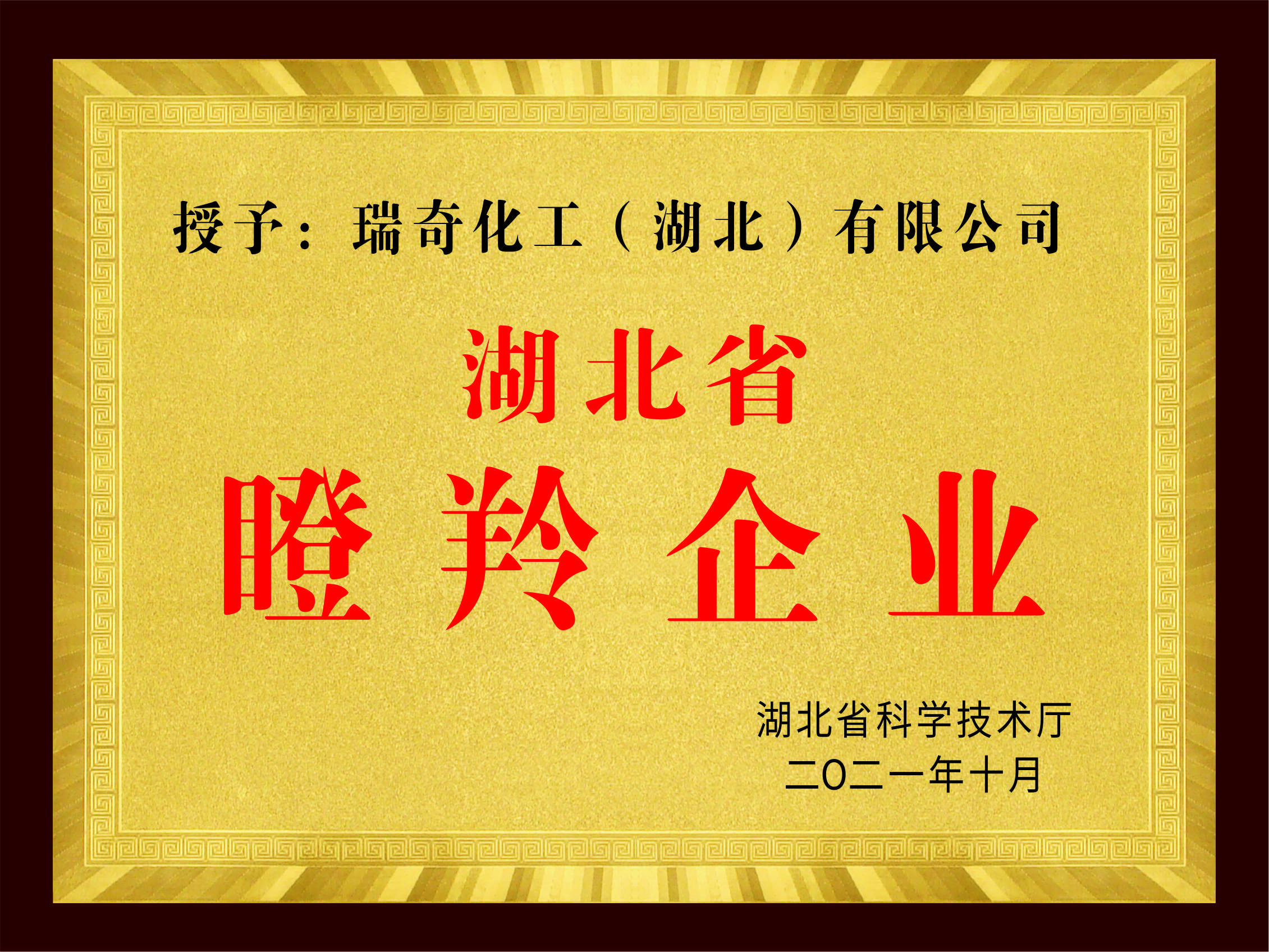 湖北省瞪羚企业
